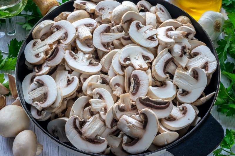 SALSA  CHAMPI�ONES